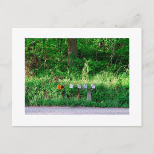 The Mailboxes Postcard