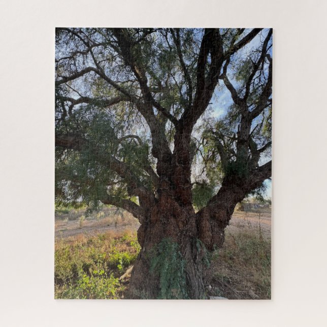  The Majestic Guardian: California Pepper Tree Jigsaw Puzzle (Vertical)