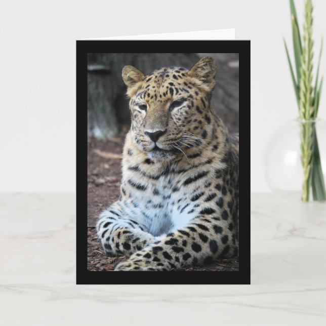The Majestic Leopard Card (Front)