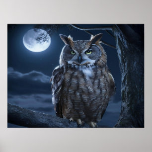 The Majestic Owl Poster
