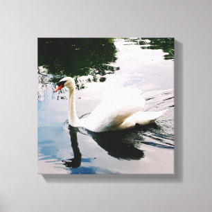 THE MAJESTIC SWAN CANVAS PRINT
