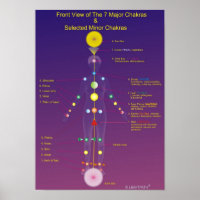 The Major and Minor Chakras