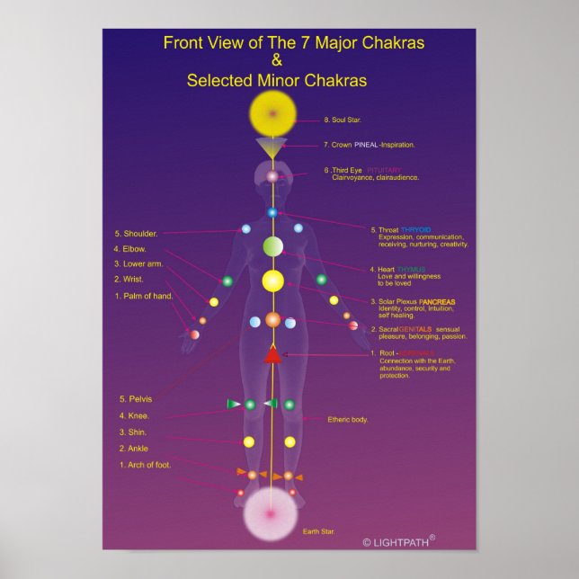 The Major and Minor Chakras Poster (Front)