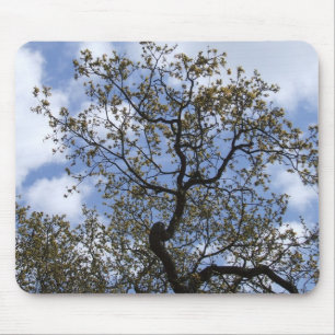 The Major Oak Mouse Mat