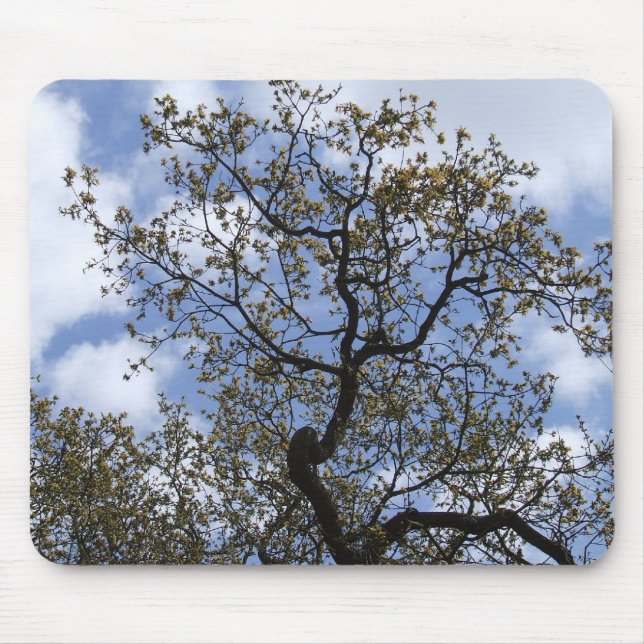 The Major Oak Mouse Mat (Front)