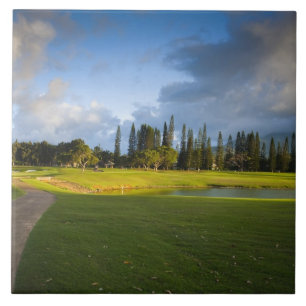 The Makai golf course in Princeville Tile