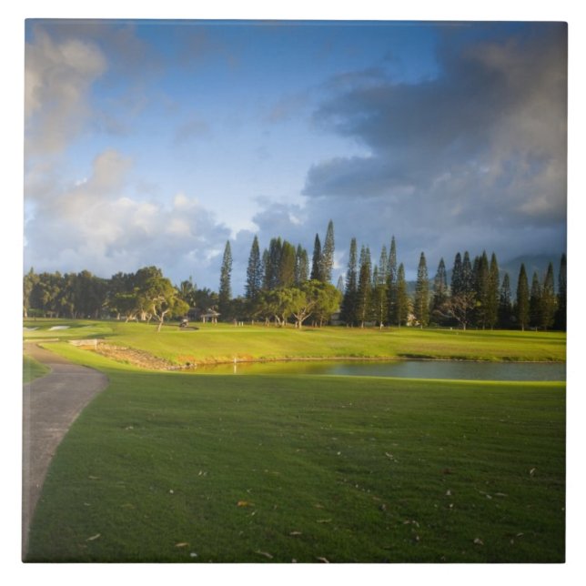 The Makai golf course in Princeville Tile (Front)