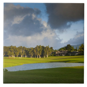 The Makai golf course in Princeville Tile