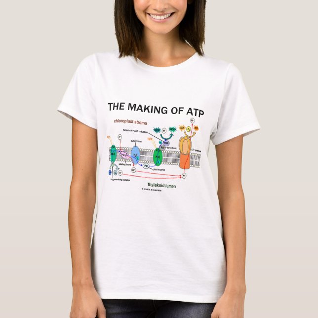 The Making Of ATP (Light-Dependant Photosynthesis) T-Shirt (Front)