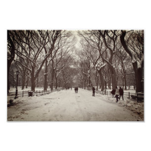 The Mall, Central Park Photo Print