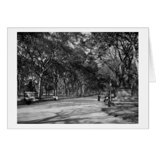 The Mall in Central Park in New York City