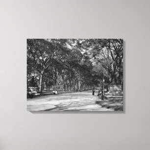 The Mall in Central Park in New York City Canvas Print