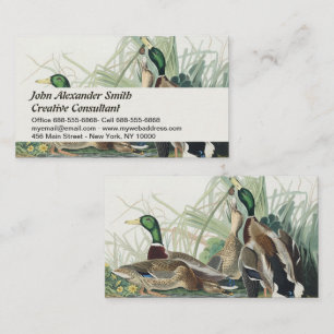 The Mallard Duck Audubon Bird Painting Business Card