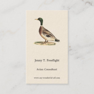 The Mallard or Wild Duck (Anas platyrhynchos) Business Card
