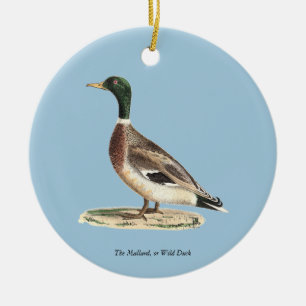 The Mallard or Wild Duck (Anas platyrhynchos) Ceramic Tree Decoration