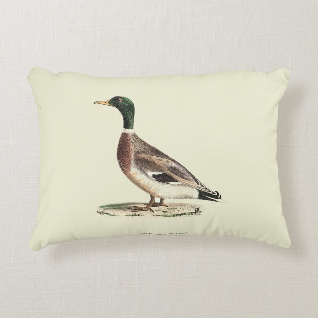 The Mallard or Wild Duck (Anas platyrhynchos) Decorative Cushion (Front)