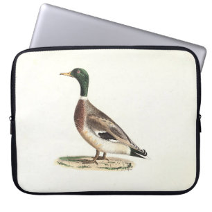 The Mallard or Wild Duck (Anas platyrhynchos) Laptop Sleeve
