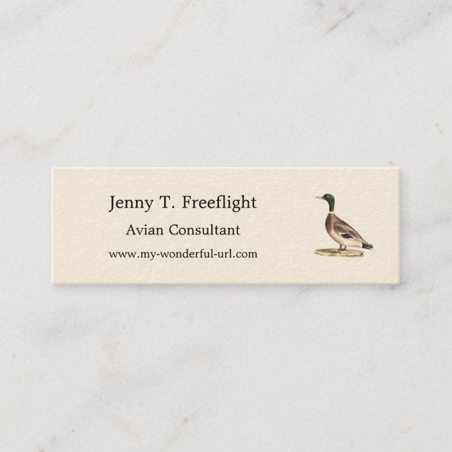 The Mallard or Wild Duck (Anas platyrhynchos) Mini Business Card (Front)