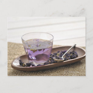 The mallow herb tea which a glass cup contains, postcard