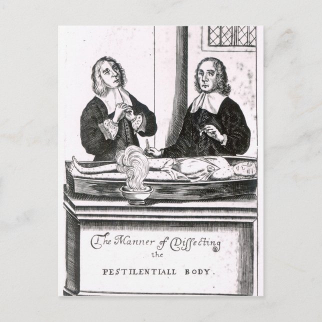 The Manner of Dissecting the Pestilential Body Postcard (Front)