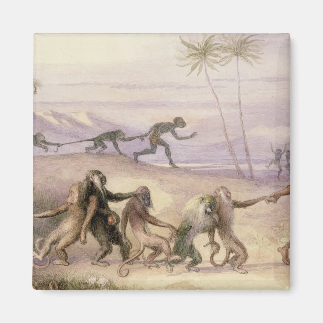 The Manners and Customs of Monkeys Magnet (Front)