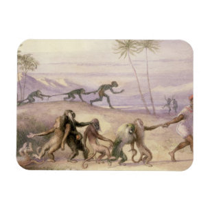The Manners and Customs of Monkeys Magnet