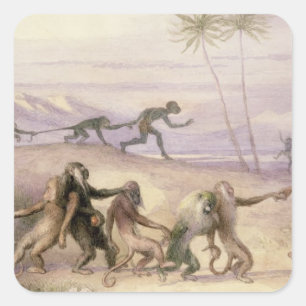 The Manners and Customs of Monkeys Square Sticker