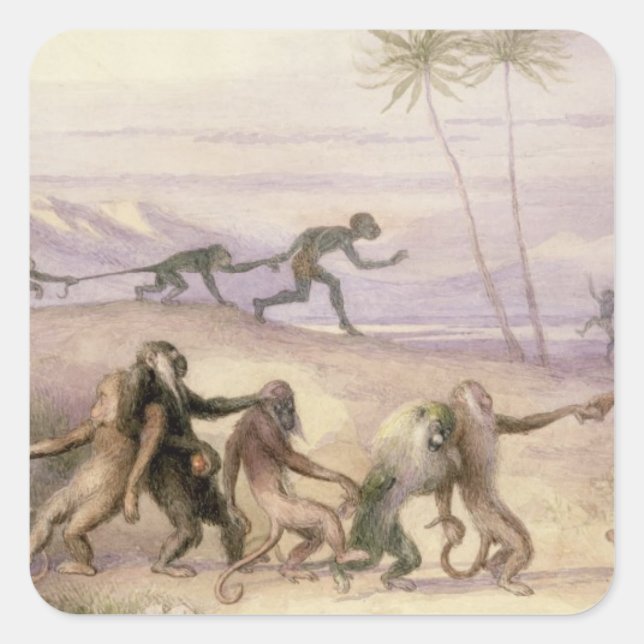 The Manners and Customs of Monkeys Square Sticker (Front)