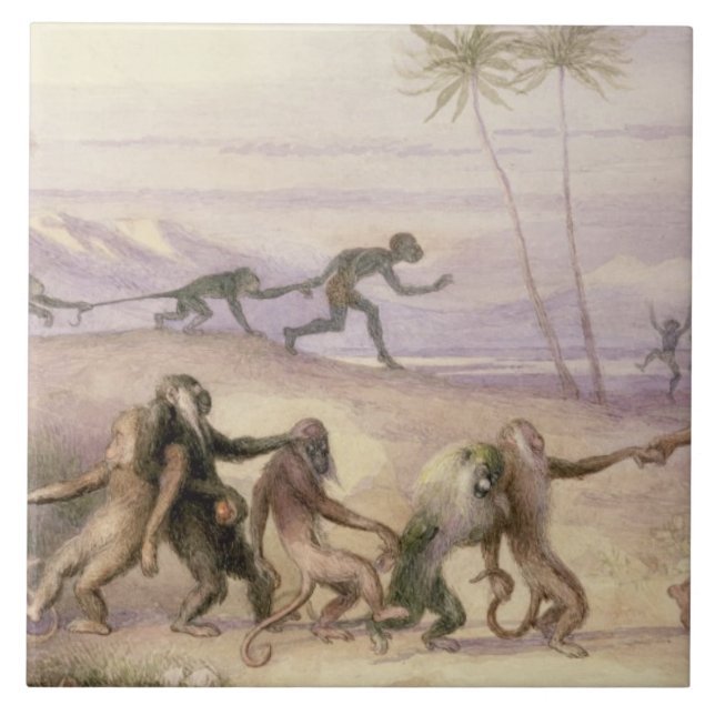 The Manners and Customs of Monkeys Tile (Front)