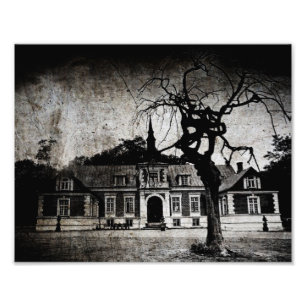 The mansion - print