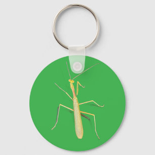 The Mantis, Key Ring