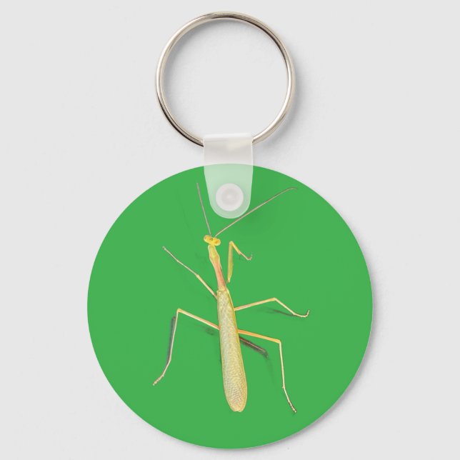 The Mantis,  Key Ring (Front)