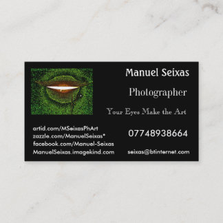 The Manuel Seixas Business Card
