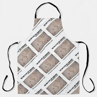 The Map Is Not The Territory Salviati Planisphere Apron
