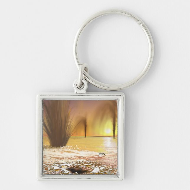 The Martian south polar ice cap Key Ring (Front)