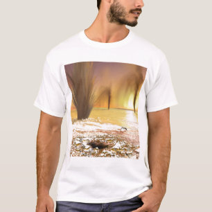 The Martian south polar ice cap T-Shirt
