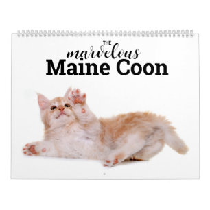 The Marvellous Maine Coon Calender Calendar