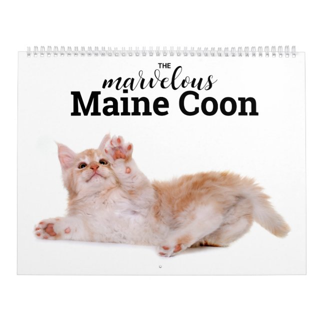 The Marvellous Maine Coon Calender Calendar (Cover)