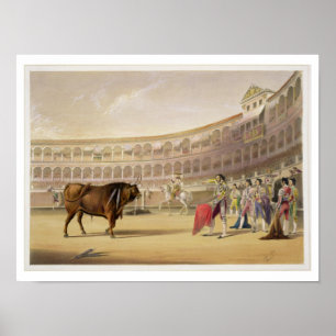 The Matador, 1865 (colour litho) Poster