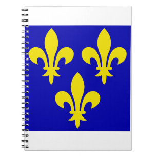 The Mediaeval Flag of France Notebook