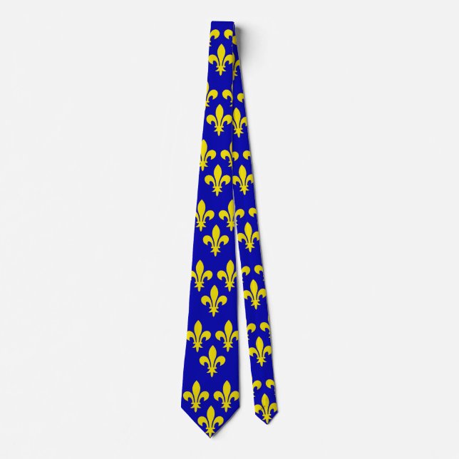 The Medieval Flag of France Tie (Front)