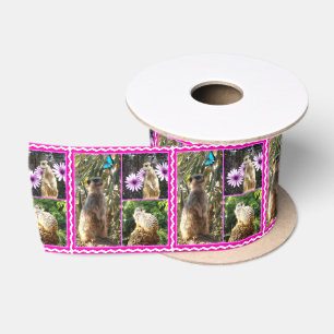 The Meerkat Picture Collage With Pink Border, Satin Ribbon
