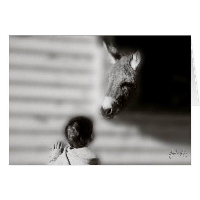 The Meeting (Front Horizontal)