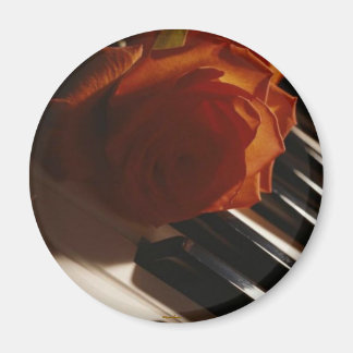 The Melody Of The Piano Magnet