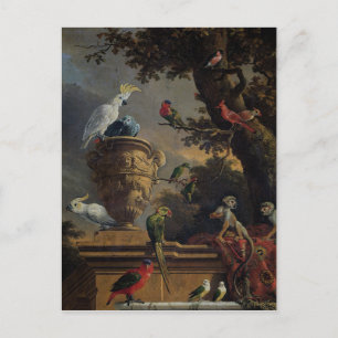 The Menagerie by Melchior d'Hondecoeter Postcard