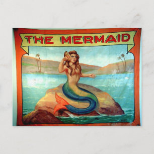 the mermaid postcard