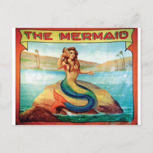 The Mermaid Postcard
