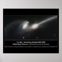 The Mice Hubble Telescope Photo