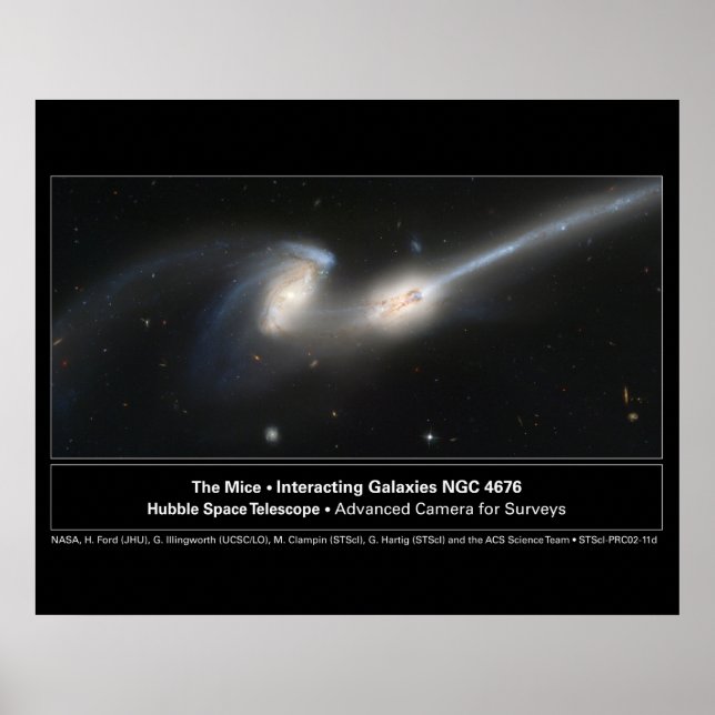 The Mice Hubble Telescope Photo Poster (Front)