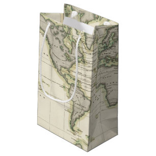 The Middle Barometer Small Gift Bag